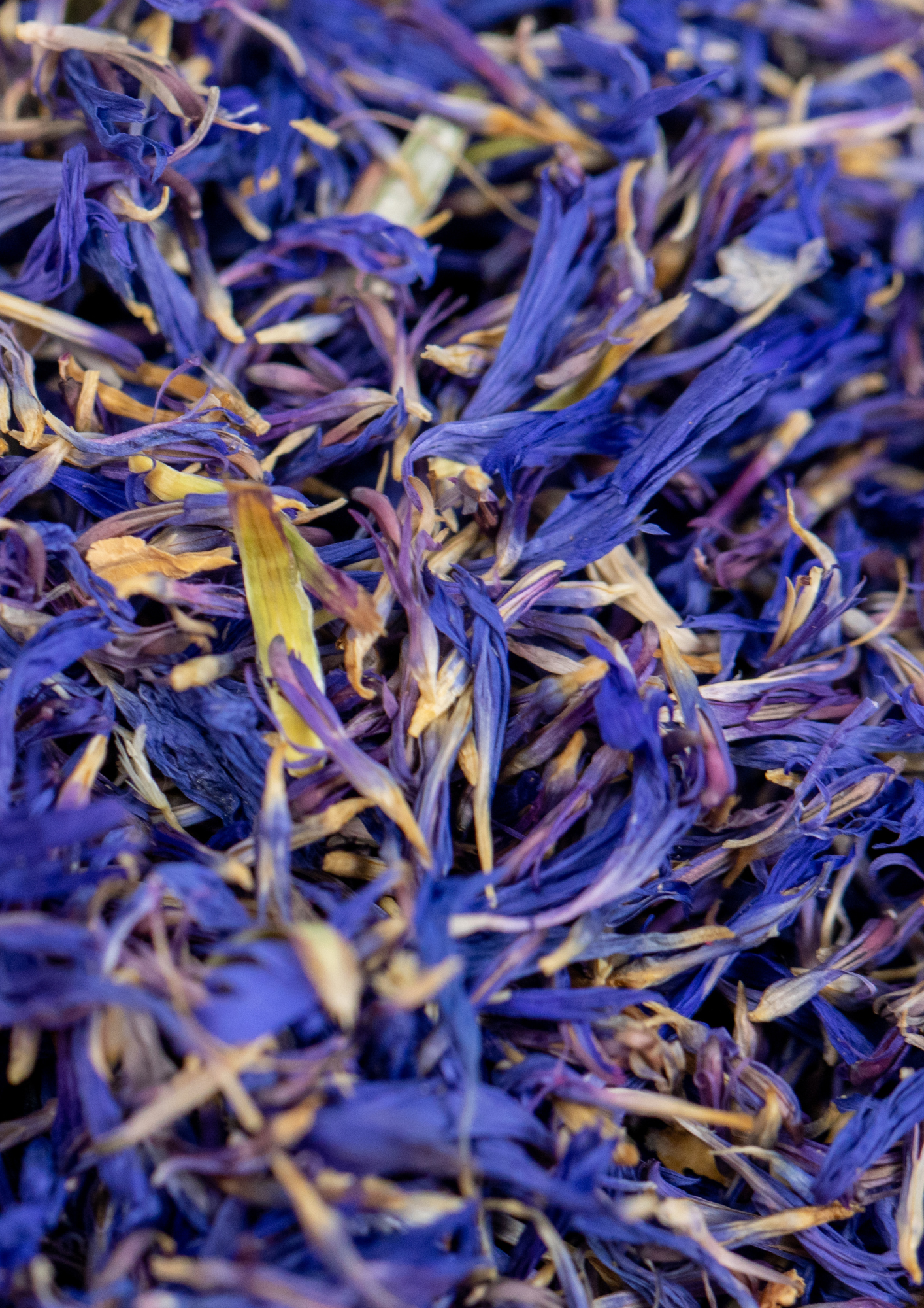 Herboristerie enchantée