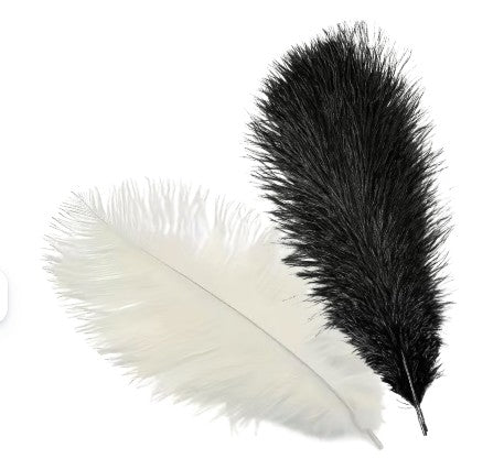 Duo de plumes